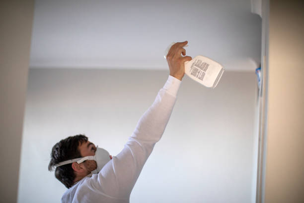 Newton, IA Mold Removal Company